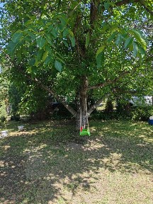 Продается 2-этажный дом, 50 м²