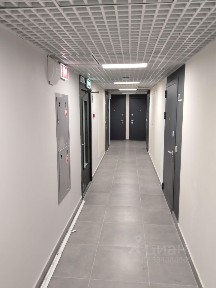 Сдается студия, 21,4 м²