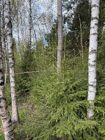 Продается участок, 12,6 сот.