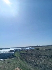 Продается готовый бизнес ⋅ производство, 95 000 м²
