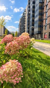 Продается 1-комн. квартира, 29,2 м²