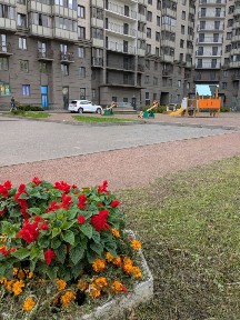Сдается студия, 26 м²
