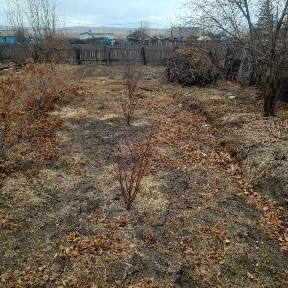 Продается 1-этажный дом, 28,9 м²