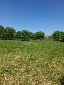 Продается участок, 25 сот.