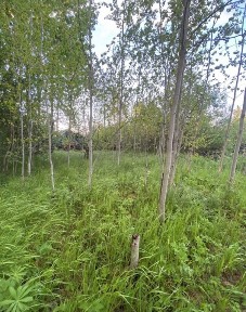 Продается участок, 6 сот.