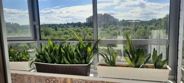 Сдается студия, 30 м²