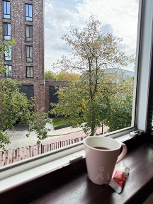 Сдается квартира свободной планировки, 33 м²
