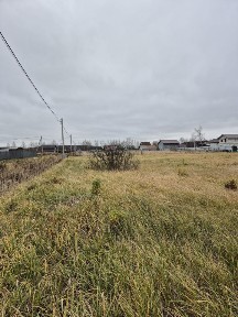 Московская область, Раменский муниципальный округ, Владимировка деревня, 32