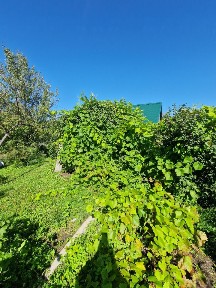 Продается 1-этажный дом, 15 м²