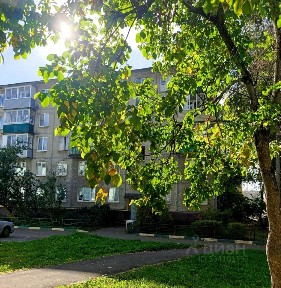 Сдается 1-комн. квартира, 31,8 м²