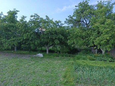 Продается 1-этажный дом, 10 м²