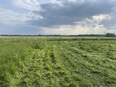 Продается участок, 10 сот.