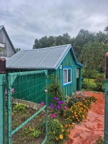 Нижегородская область, Нижний Новгород городской округ, Дружба-86 СТ, 307