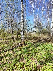 Продается участок, 7 сот.