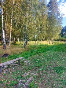 Московская область, Воскресенск городской округ, Имени Цюрупы пгт, ул. Парфенова