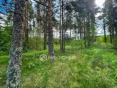 Продается участок, 113,4 сот.