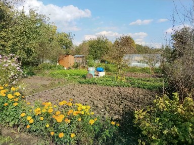 Продается 1-этажный дом, 16 м²