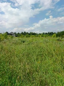 Продается участок, 12 сот.