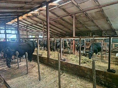 Продается готовый бизнес ⋅ ферма, 115 м²
