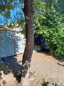 Продается 1-этажный дом, 61 м²