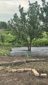 Продается участок, 9,8 сот.