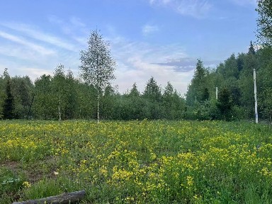 Москва, ТАО (Троицкий), Европейская долина-2 ДНП