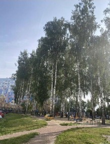 Сдается 2-комн. квартира, 45 м²