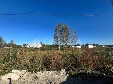 Тюменская область, Тюмень, Центральный, Ясень СНТ, ул. Вторая