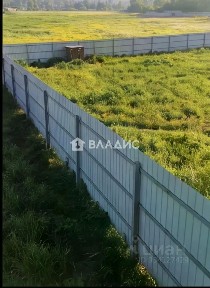 Московская область, Одинцовский городской округ, Вырубово деревня