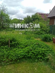 Московская область, Пушкинский городской округ, Черничка СНТ, 48