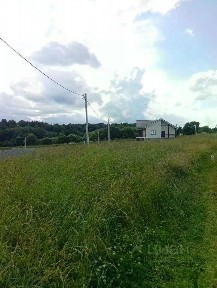 Московская область, Истра муниципальный округ, Граворново деревня