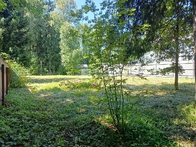 Московская область, Одинцовский городской округ, Сивково деревня, Поляна СНТ, 219