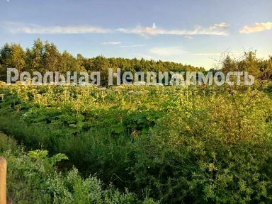 Продается участок, 513 сот.