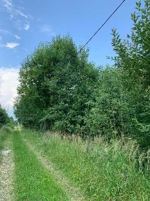 Продается участок, 10 сот.