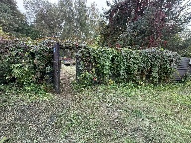 Московская область, Раменский муниципальный округ, Бронницкое СНТ, 51