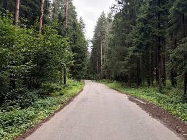 Московская область, Солнечногорск городской округ, Лесное Подворье коттеджный поселок