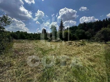 Воронежская область, Семилукский район, Девицкое с/пос, Орлов Лог поселок, ул. Шахтерская, 1