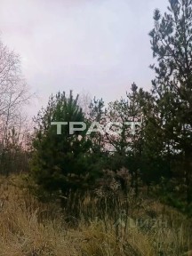 Воронежская область, Рамонский район, Новоживотинновское с/пос, Озон-2 СНТ, ул. 6-я, 152