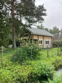 Ленинградская область, Всеволожский район, Морозовское городское поселение, Двигатель-3 СНТ, 76