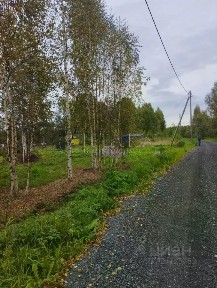 Ленинградская область, Волховский район, Потанинское с/пос, Весь деревня