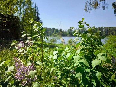 Продается участок, 1 500 сот.