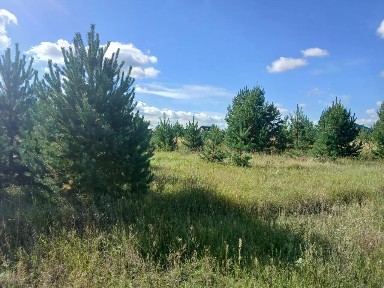 Продается участок, 12,2 га
