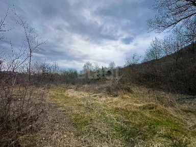 Краснодарский край, Геленджик городской округ, Михайловский Перевал село
