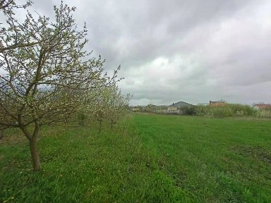 Краснодарский край, Анапа муниципальный округ, Гостагаевская станица, ул. Цветочная