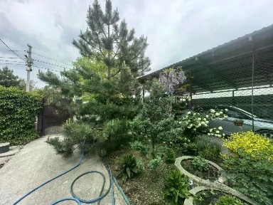 Краснодарский край, Анапа муниципальный округ, Гостагаевская станица, ул. Кубанская