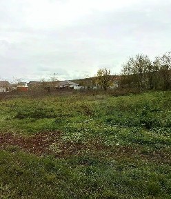Краснодарский край, Анапа муниципальный округ, Куток хутор