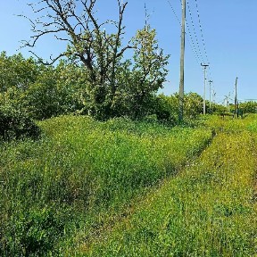 Краснодарский край, Анапа муниципальный округ, Пятихатки поселок, ул. Джеметинская