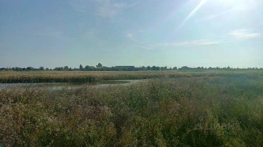 Краснодарский край, Анапа муниципальный округ, Благовещенская станица, пер. Самбурова