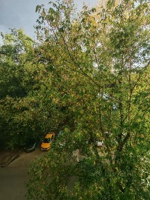Продается 2-комн. квартира, 45 м²