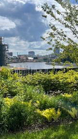 Продается квартира свободной планировки, 53 м²